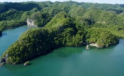 Private 4-Day Tour from Punta Cana/Bayahibe to Los Haitises