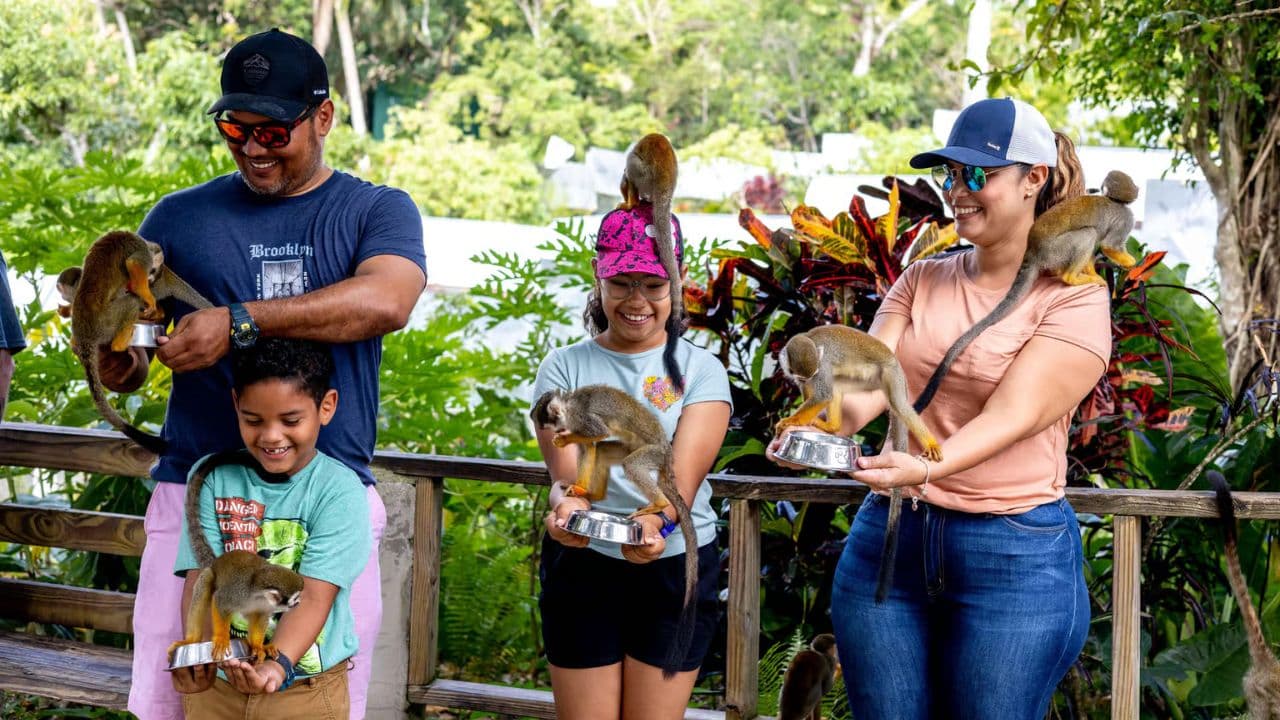 Punta Cana: Monkeyland and Plantation Tour