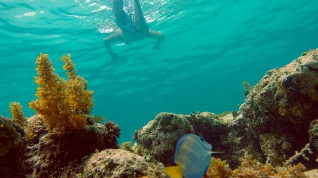 Punta Cana Happy Hour Sailing Cruise