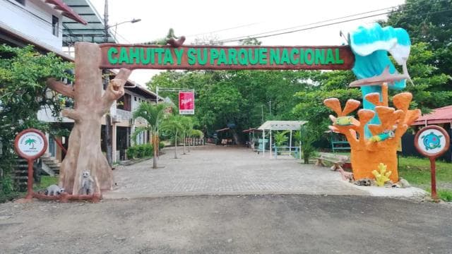 Costa Rica: Guided Nature Hike in Cahuita National Park
