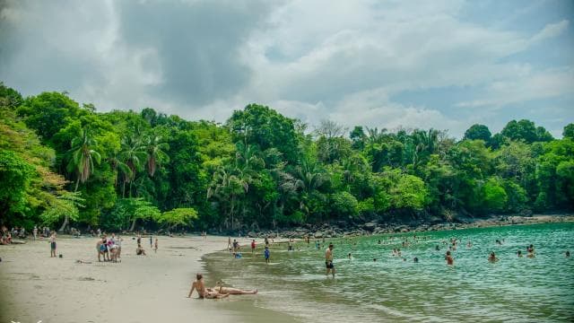 Manuel Antonio Park: Guided Tour with Ticket