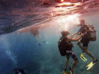 Private: Catamaran Adventure & Beach BBQ at Catalina Island