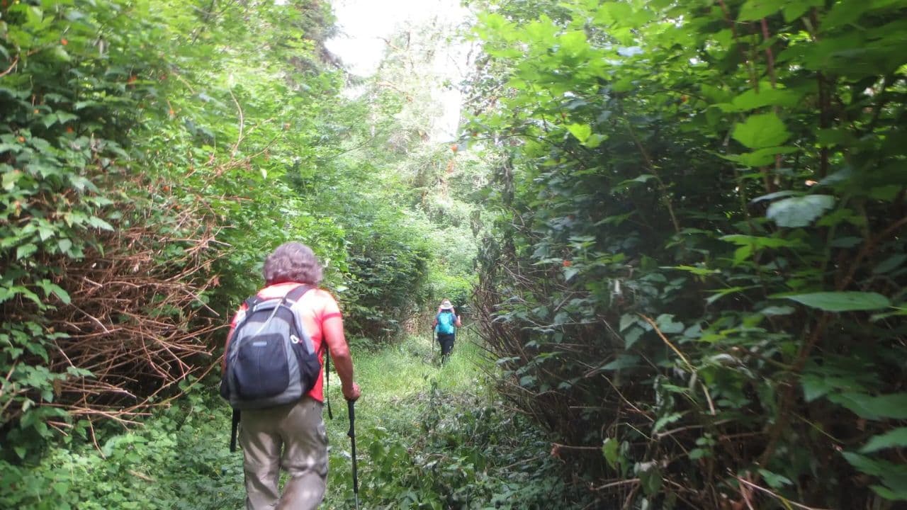 Hiking the 27 Waterfalls of Damajagua Tour from Sto. Dgo.