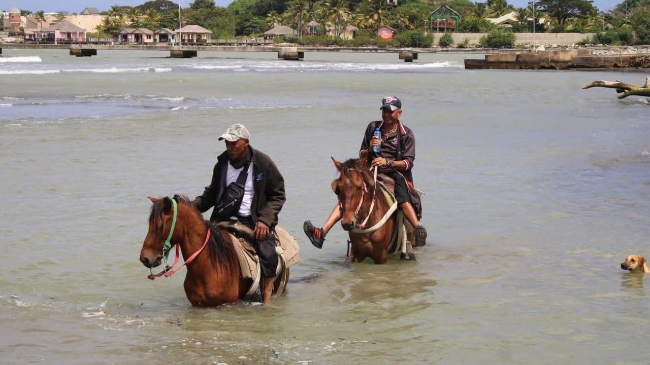 Beach horse back riding and countryside