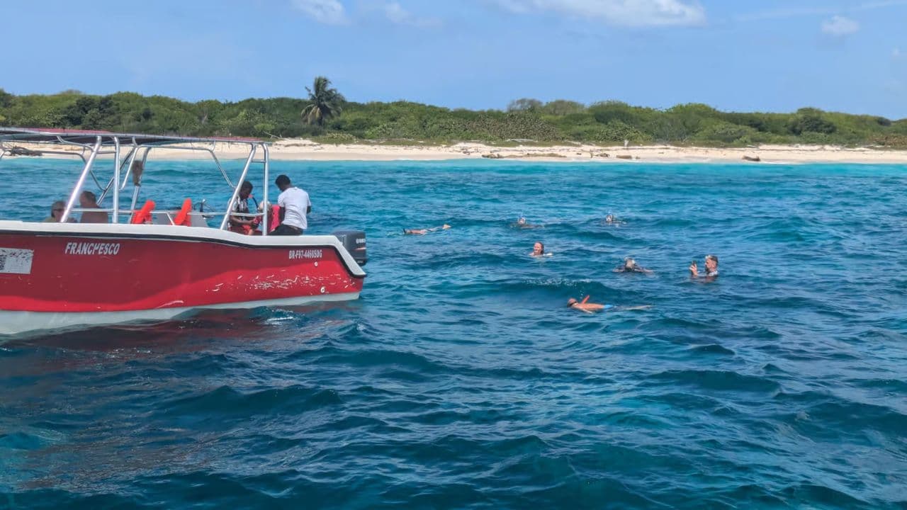 Full-Day at Catalina Island from Santo Domingo