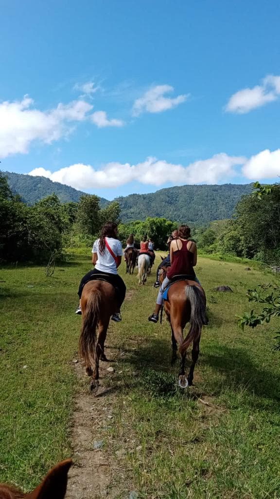 Jarabacoa: Horseride Excursion to Salto Baiguate Waterfall