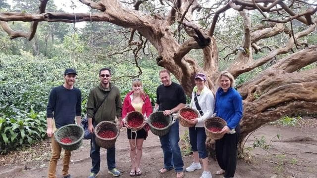 Monteverde: Coffee Farm & Roastery Tour with Tasting