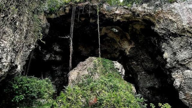 From San Juan: Rainforest River, Luquillo Beach, & Cave Tour