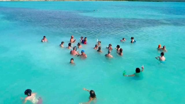 From Punta Cana: Saona Island Full-Day Tour
