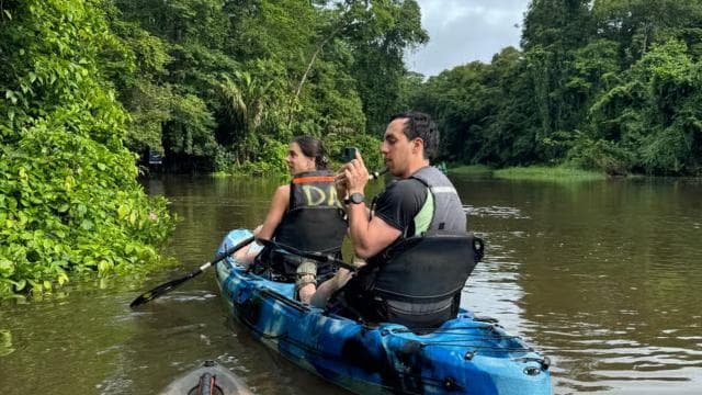 Tortuguero: Kayak adventure through the rainforest canals.