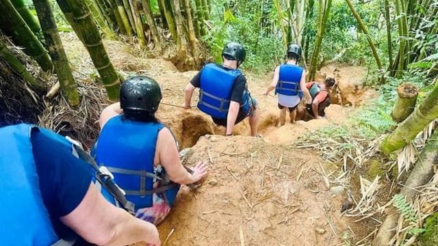 El Yunque Rainforest Puerto Rico Private Tour From San Juan