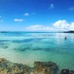 Saona Island Tour from Punta Cana – Natural Pool Excursion
