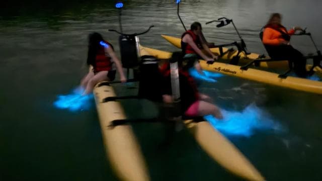 La Parguera: Bioluminescent Bay Chiliboats Waterbike Tour