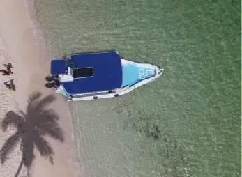 From Punta Cana: Small Group Catalina Island Snorkeling Tour