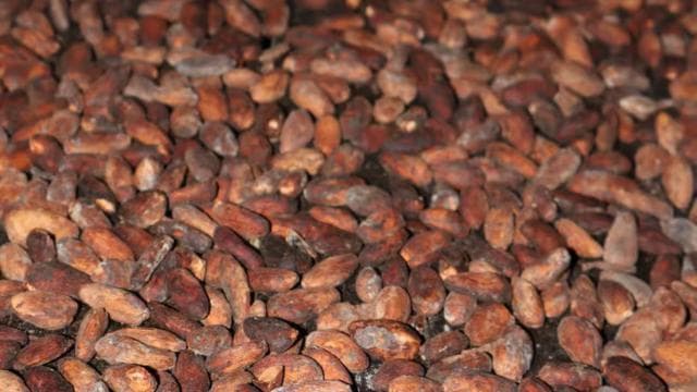 La Fortuna: Chocolate-Making Experience with Tastings