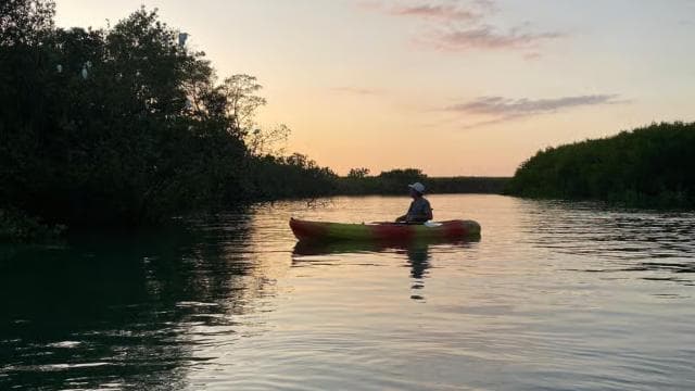 Nosara: Rio Montana Mangrove SUP or Kayak Tour