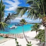 Full-Day Catalina Island With Scuba Diving