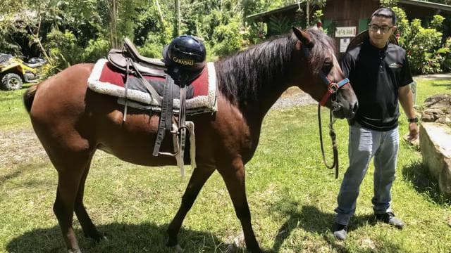 Carabalí Rainforest Park: Rainforest Horseback Riding Tour