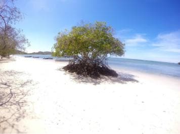 Punta Rucia Cayo Arena: Paradise Island and Mangroves Tour