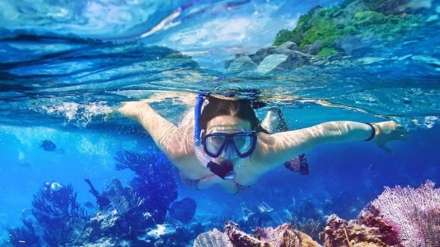 Speed Boat and Snorkeling in Punta Cana