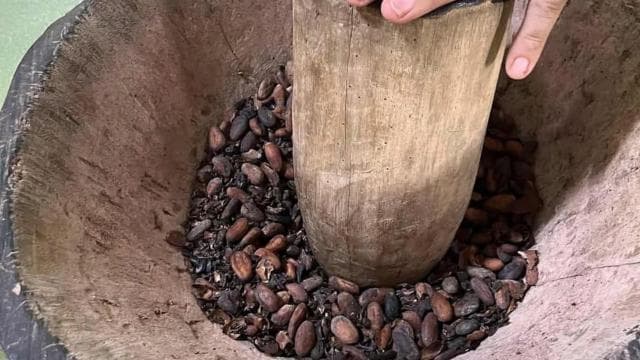 San Carlos: The Art of Chocolate Making Tour at Don Olivo
