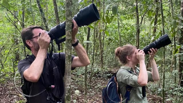 From Puerto Jimenez: Corcovado National Park Full-Day Tour - Dominican Republic