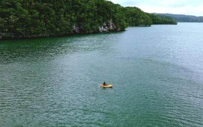 Samana: Private Los Haitises Expedition Caves & Mangroves - Dominican Republic
