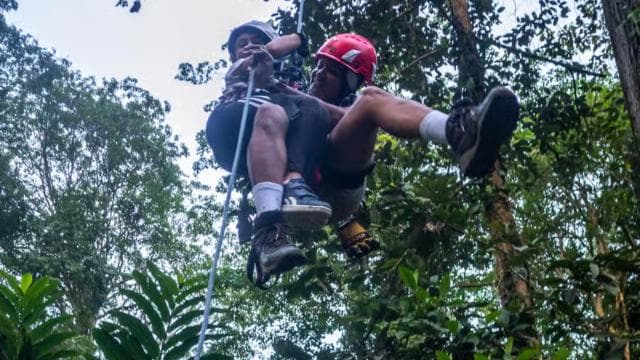 Puerto Viejo: Explore the giant ceibo tree with an accessible aerial circuit