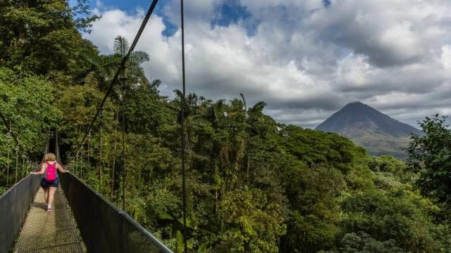 From La Fortuna: Mistico Arenal Hanging Bridges Park Tour