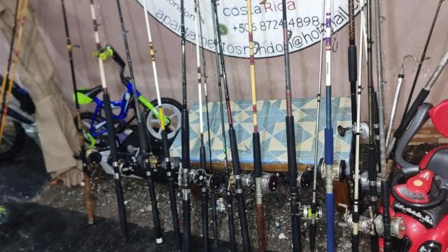 Fishing Tour