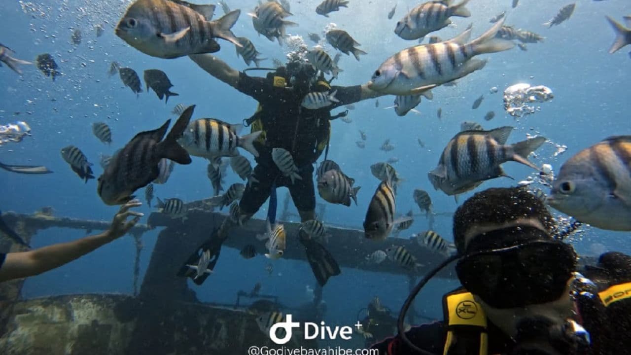 Bayahibe: Scuba Diving Initiation - Godive Bayahibe