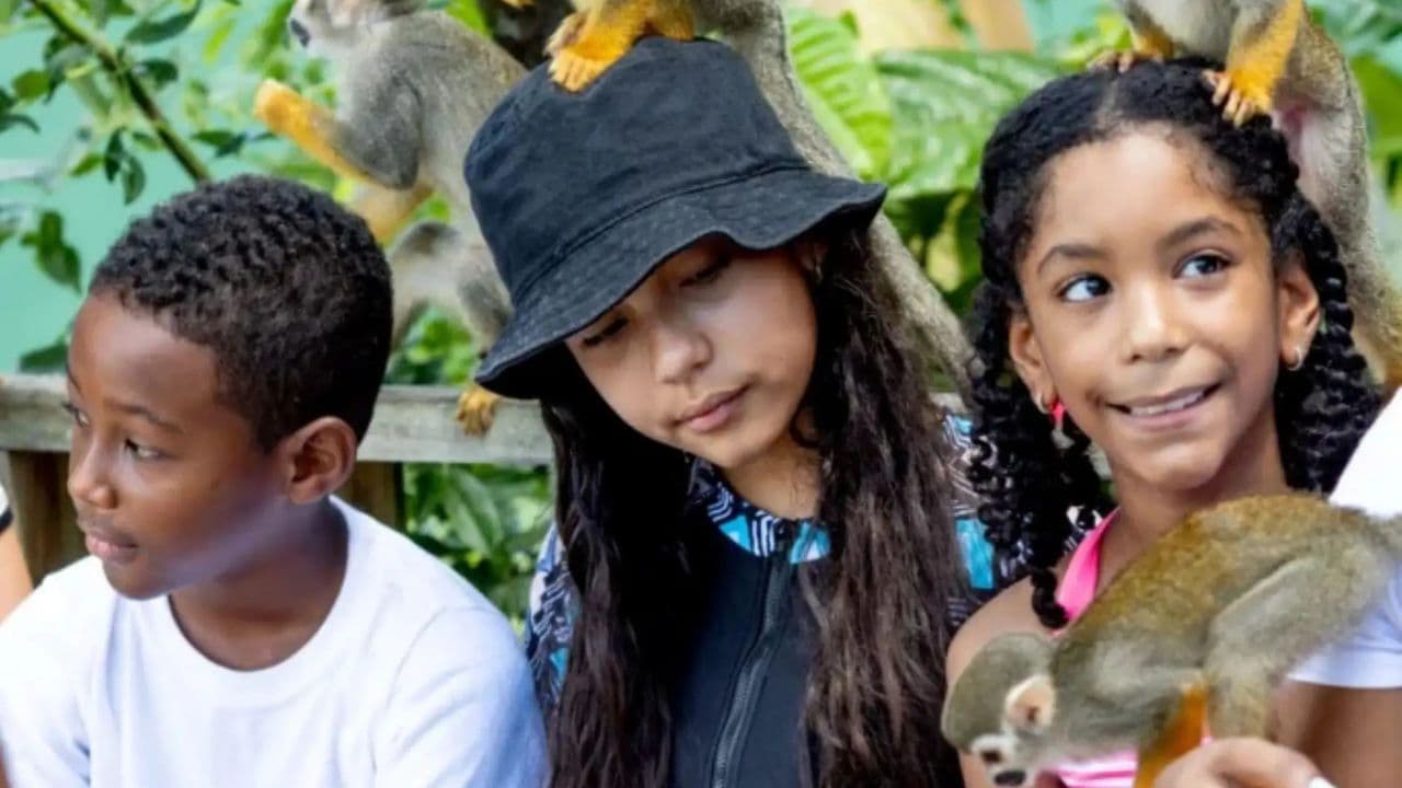 Monkeyland experience + Lunch and transportation