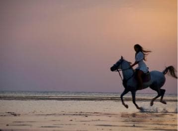 Makadi Bay: Horse Riding in Desert & Sea w Guide + Transfers - Dominican Republic