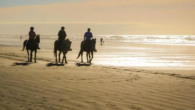 Tamarindo: Horseback to Conchal Beach Guanacaste, Costa Rica