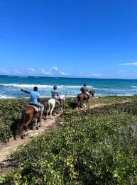 Punta Cana: Prohlídka pláží a polí na koni s průvodcem - Dominican Republic
