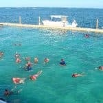 Four Adventures: Parasailing, Snorkeling Cruise, Sharks & Rays in Natural Pools from Punta Cana