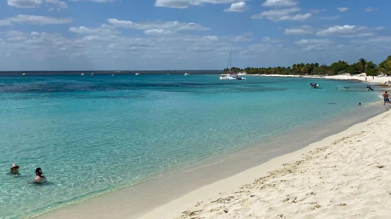 Saona Island Full-Day Tour with Lunch from Punta Cana