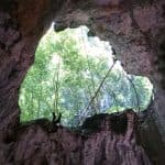 Los Haitises National Park: Boat and Walking Tour with Lunch