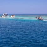From Puerto Plata: Cayo Arena Private Catamaran Trip & Lunch