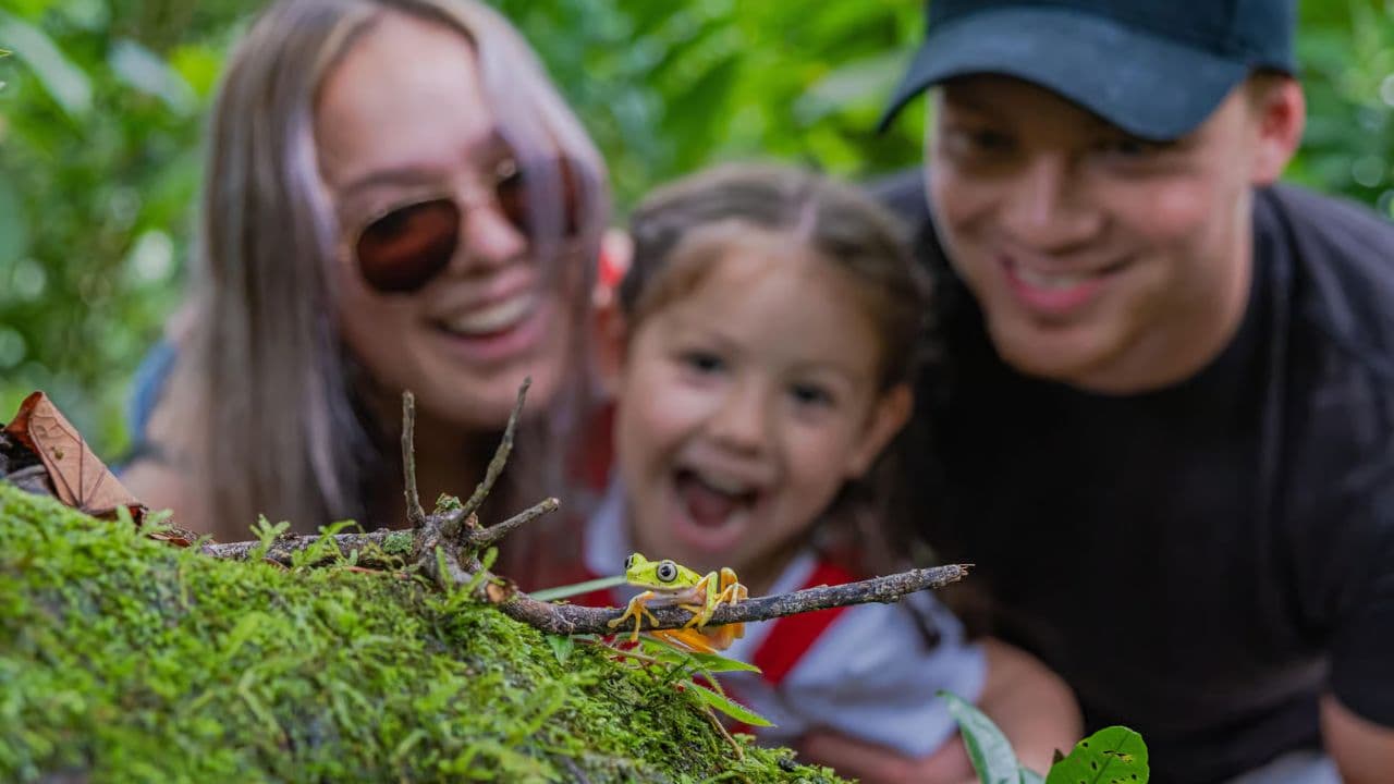 Jungle Eco Tour