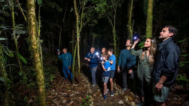 Tortuguero: Canoe tour package and night walk in the jungle.