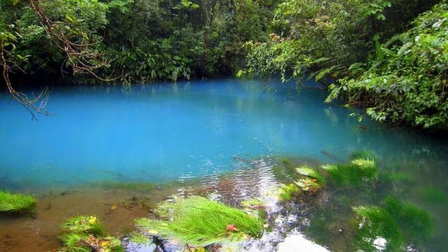 From La Fortuna: Rio Celeste Full-Day Tour