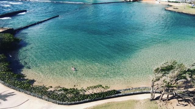 San Juan: Beginner Scuba Diving Tour with Turtles and Videos