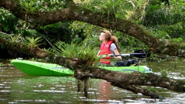Uvita - Dominical: Private Kayak Tour - Mangroves of Terraba