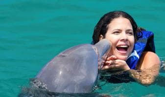 Punta Cana Dolphin Adventure: 40-Minute Interaction - Dominican Republic