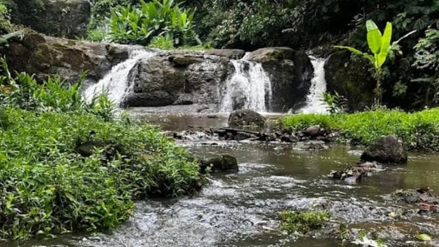 Waterfall with coffee, pineapple + coconut