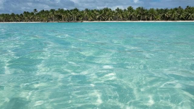 Boca Chica: Saona Island Full-Day Tour with Catamaran Ride