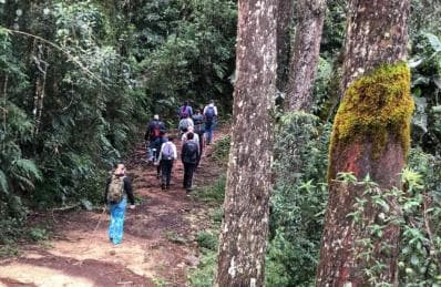 Los Haitises: Guided Kayak Tour with Local Guide