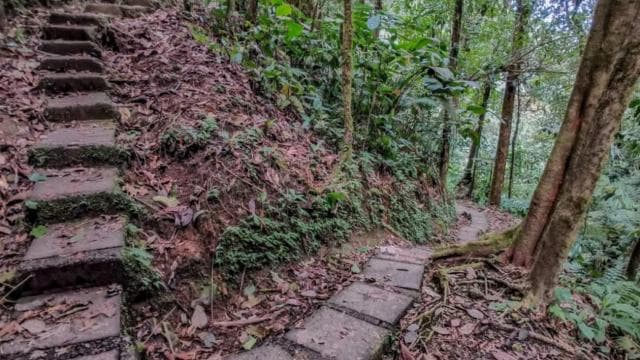 La Fortuna: 12 Canopy Zip Lines and Forest Walk Guided Trip - Dominican Republic