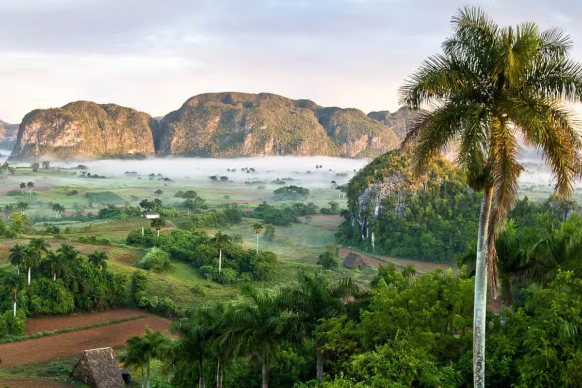 Viñales Valley Private Tour by Classic Car